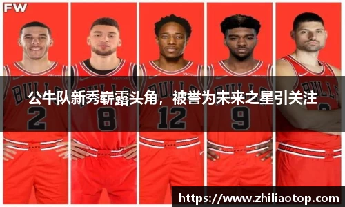 利来w66APP