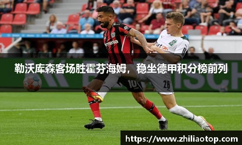 勒沃库森客场胜霍芬海姆，稳坐德甲积分榜前列