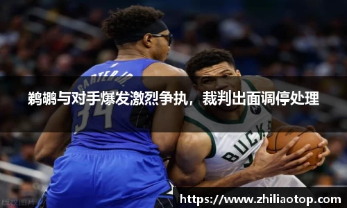 鹈鹕与对手爆发激烈争执，裁判出面调停处理