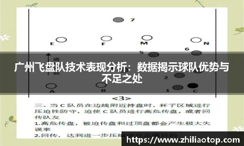 广州飞盘队技术表现分析：数据揭示球队优势与不足之处