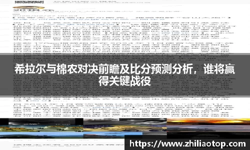 希拉尔与棉农对决前瞻及比分预测分析,谁将赢得关键战役