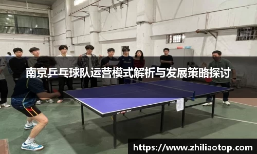 南京乒乓球队运营模式解析与发展策略探讨